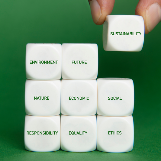 Making Sustainability Fun!