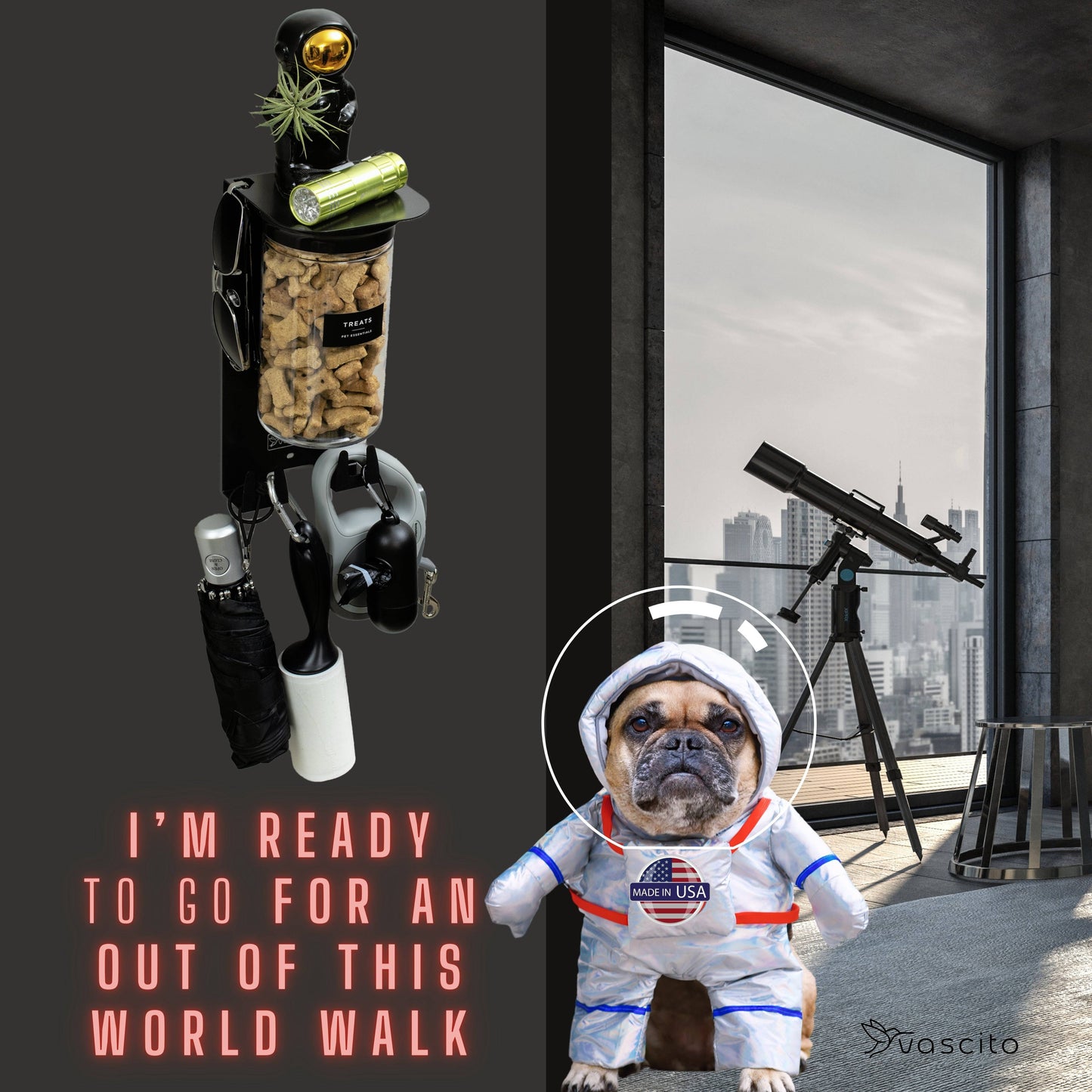 Modern black dog leash holder with treat jar and hooks, shown in a fun space-themed setup with a dog in astronaut costume and telescope.