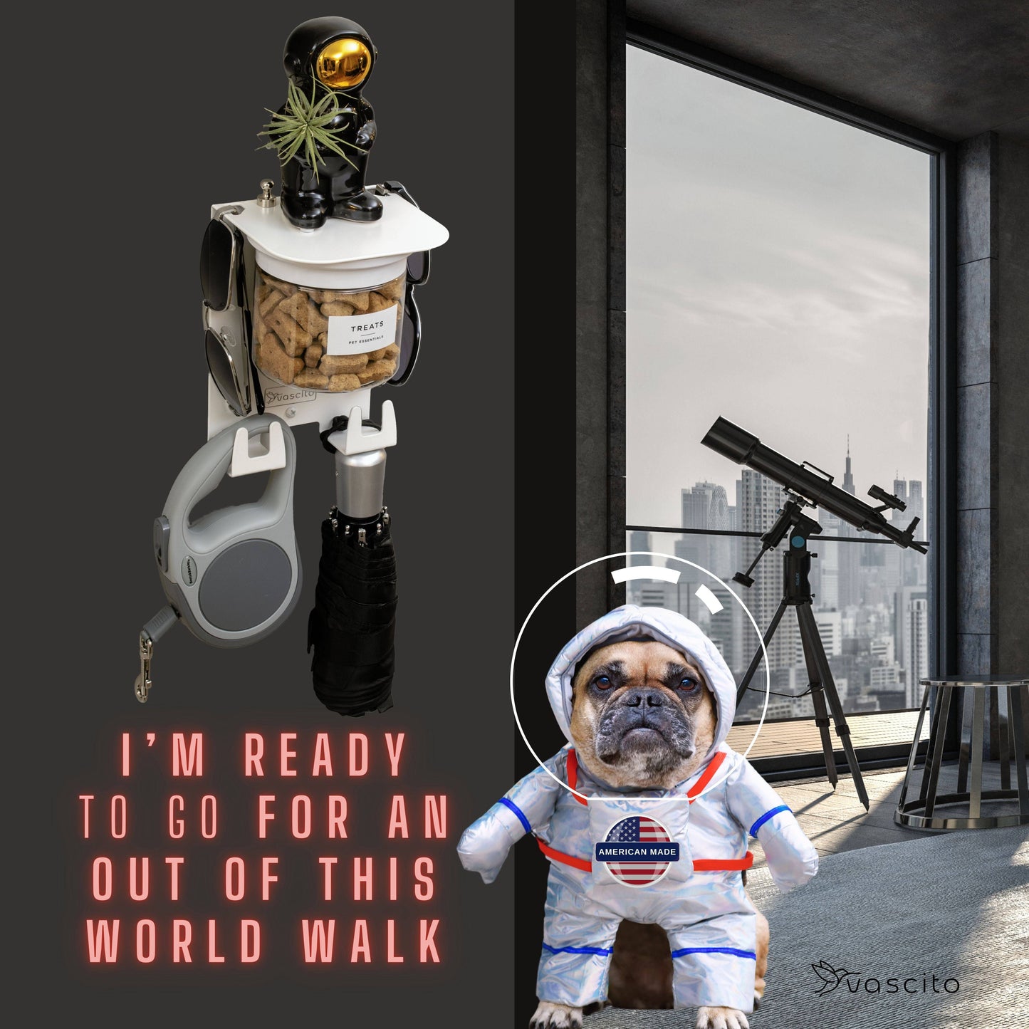 Dog Leash Holder Wall - Designer Shelf & Jar with space-themed decor and dog in astronaut suit; ideal for stylish pet gear storage.