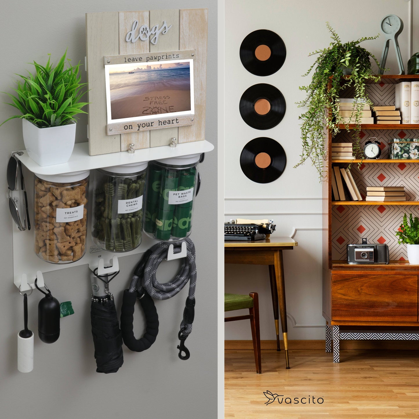 Premium wall hung large dog treat jar organizer with 3 labeled jars and leash hooks, displayed in a stylish living room setting.