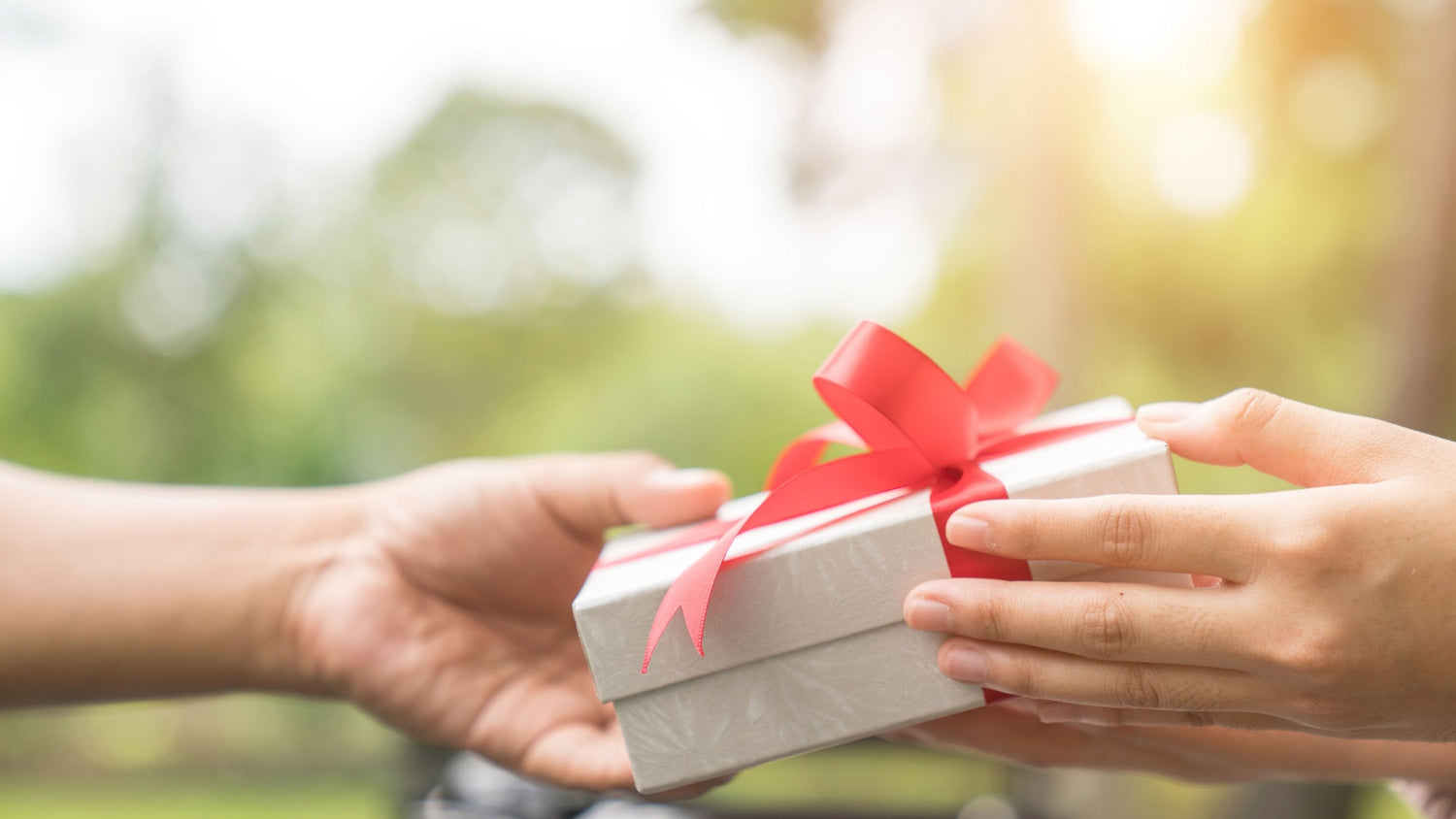 Gifts and Solutions under $100