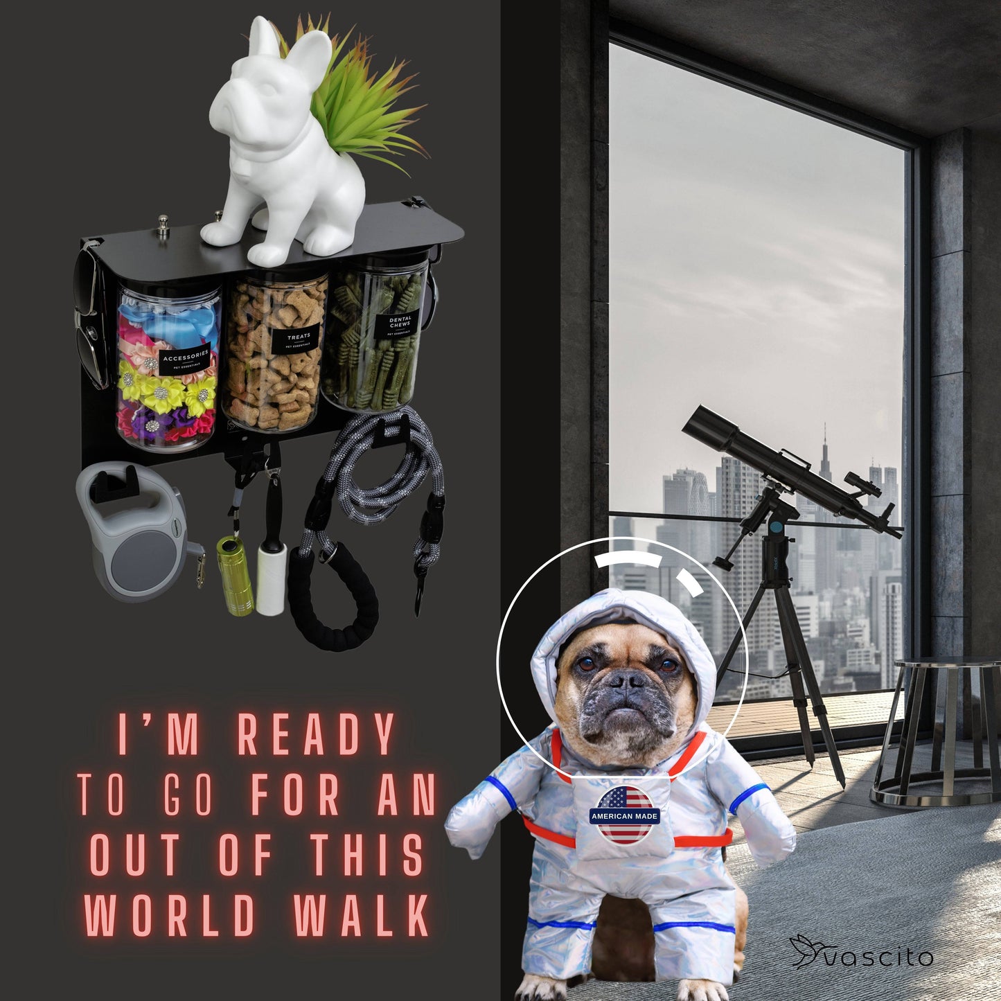 Fun dog-themed setup with modern black dog leash holder and airtight jars, perfect for pet lovers with a sense of humor.