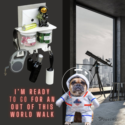 Space-themed dog leash holder wall organizer with hooks, shelf, and treat jars, ideal for organizing pet supplies in modern homes.