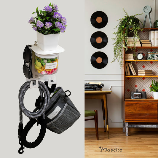 Stylish Dog Leash Holder Wall - Designer Shelf & Jar in home setting with hooks for gear, sunglasses, and a treat jar; decorative plant on top.